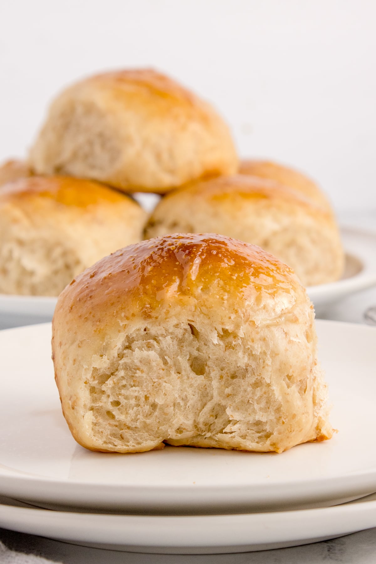 closeup sideview of soft dinner all made with sourdough starter on white plate with three more rolls in background