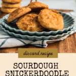 snickerdoodle cookies on blue plate with text overlay for pinterest
