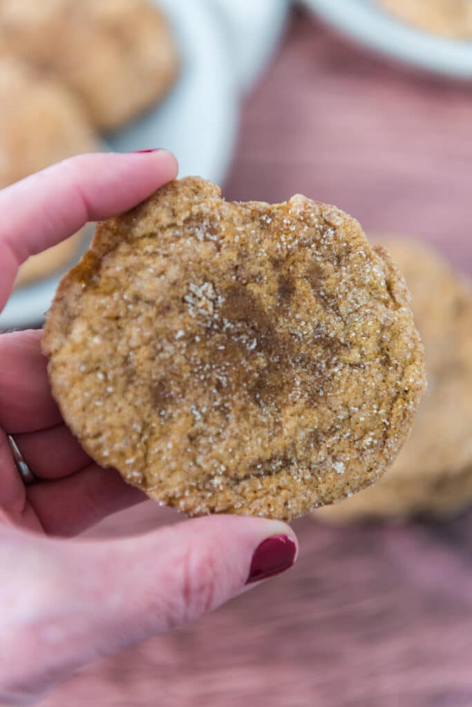 hand holding cookie with cinnamon sugar coating