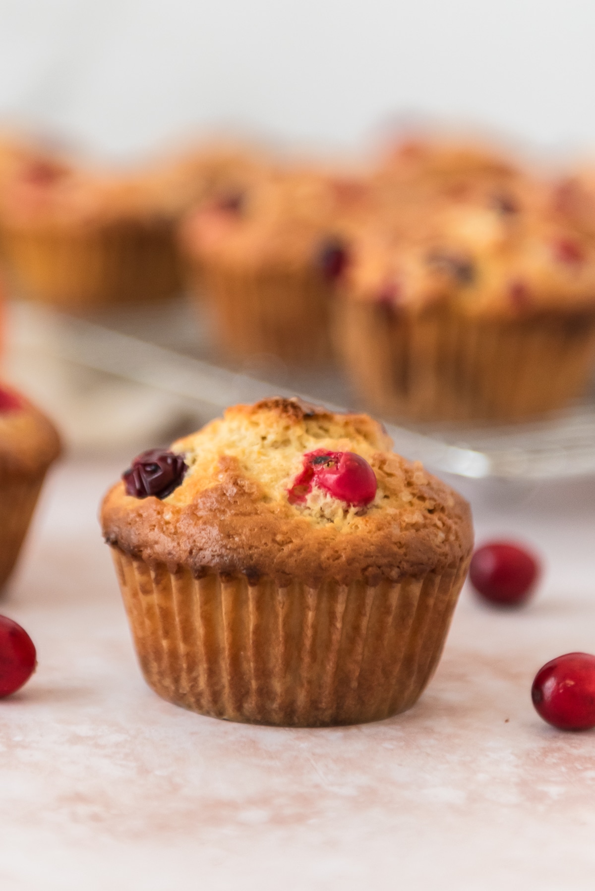 closeup view of sourdough cranberry orange muffin wtih more in background