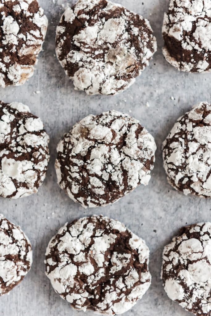 closeup of nine sourdough chocolate crinkle cookies lined up together