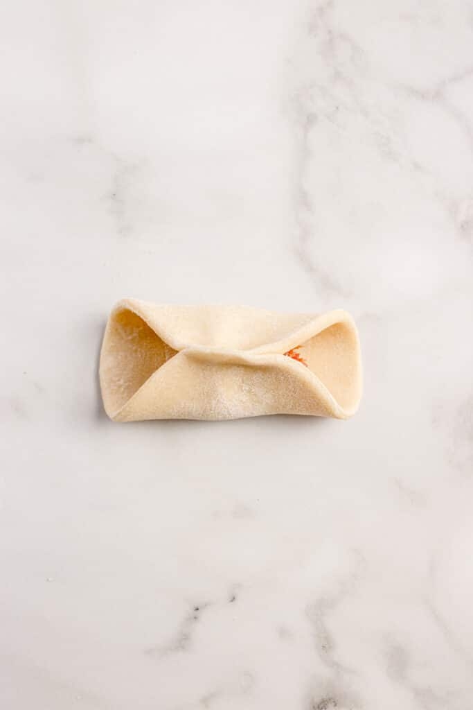 dumpling wrapper circle filled with beef and pinched together