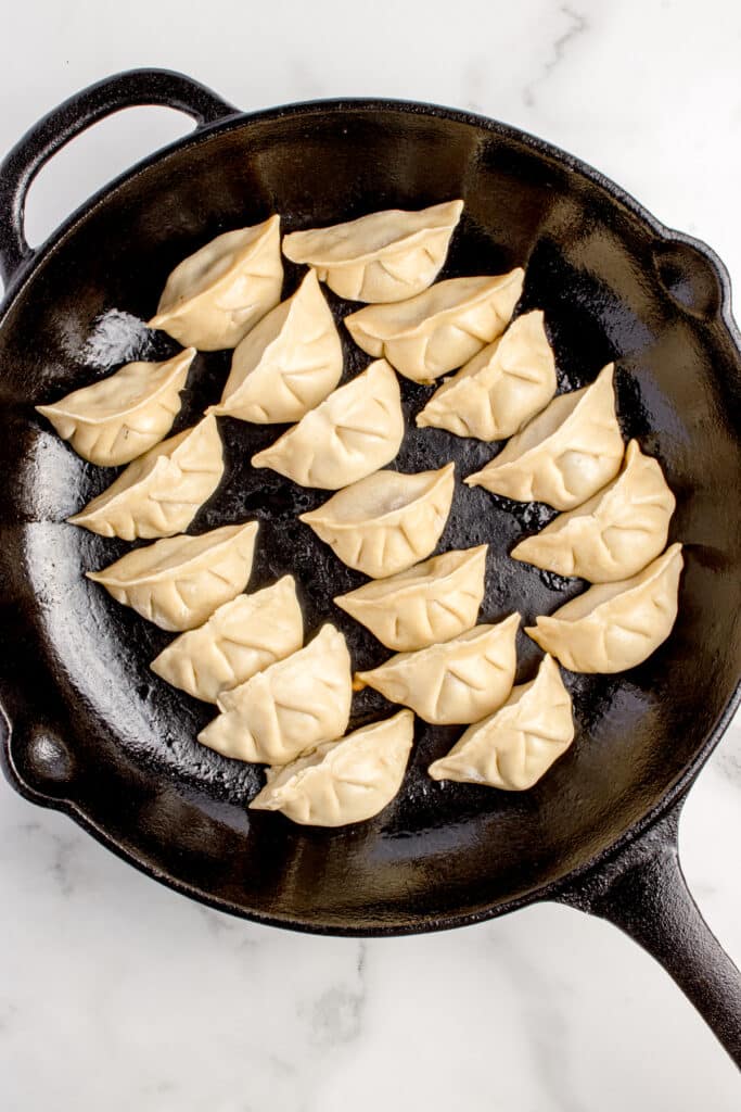 cast iron skillet with dumplings