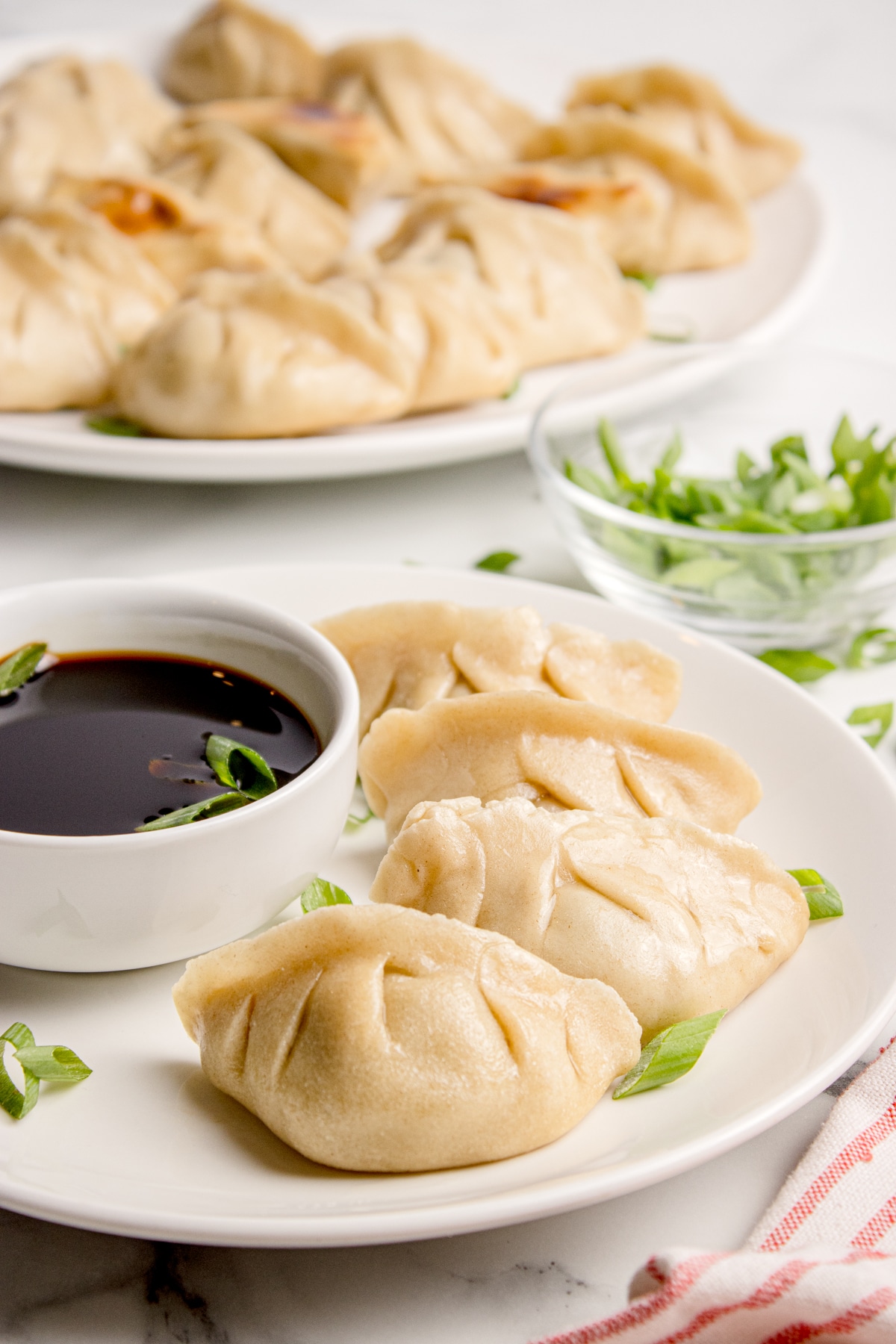 two plates of beef dumplings made with sourdough discard with small bowl of soy sauce