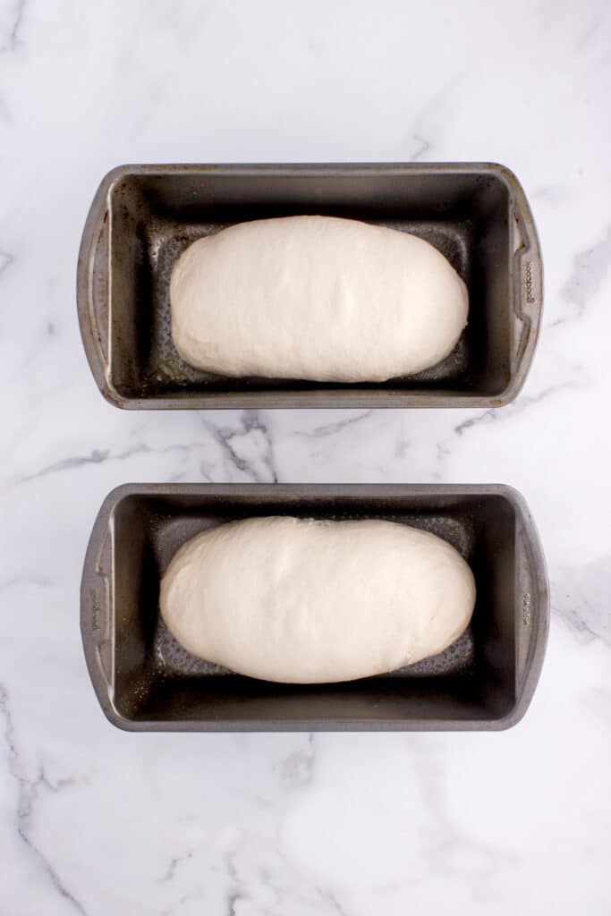loaves of dough shaped and placed in bread tins
