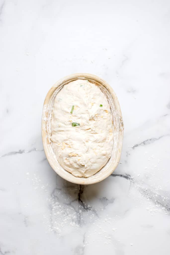 sourdough bread dough in banneton