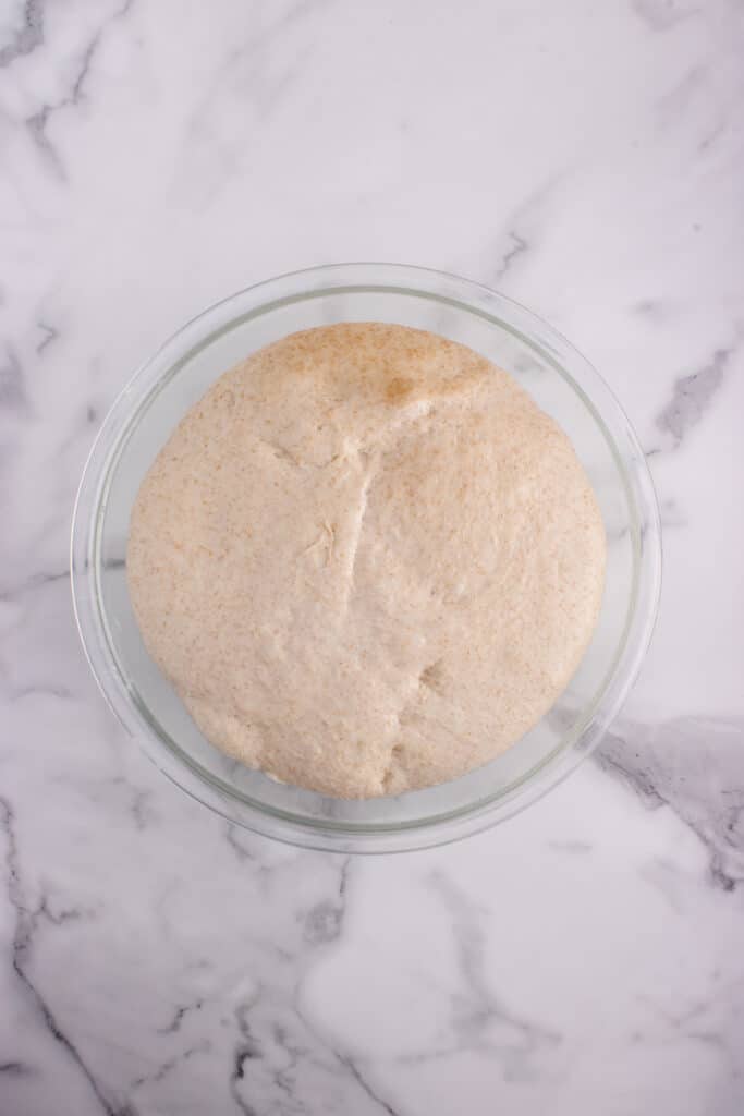 glass bowl with sourdough French bread dough after bulk fermentation