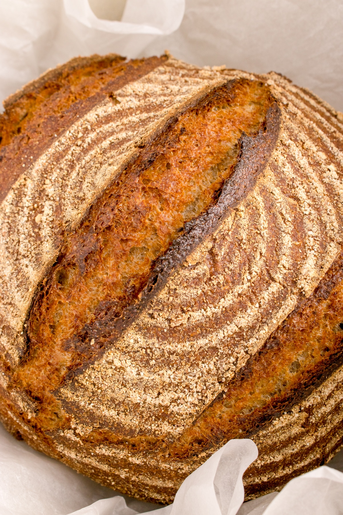 sourdough rye bread loaf