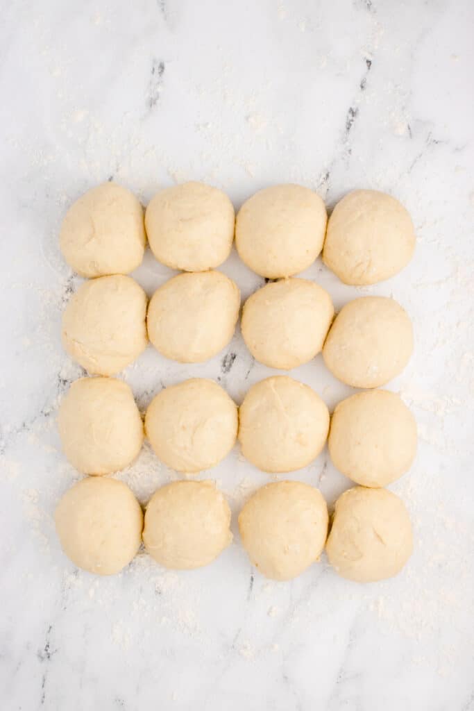 dough divided into 16 equal balls lined up