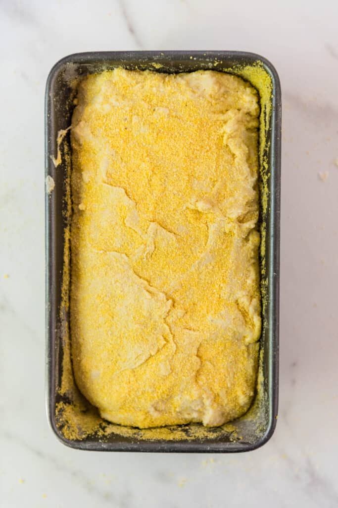 metal loaf pan with dough for sourdough English muffin bread covered in cornmeal