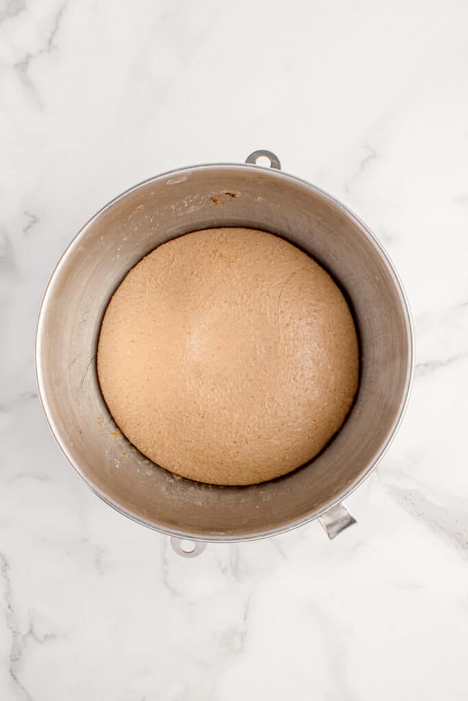 dough in metal mixing bowl after bulk fermentation