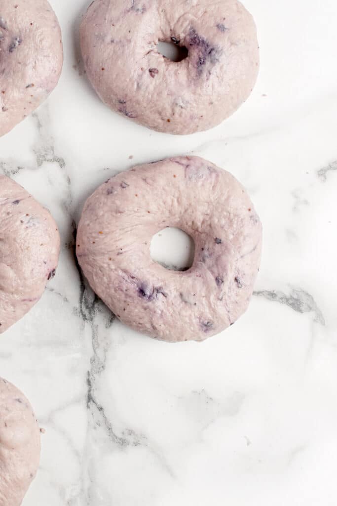 sourdough blueberry bagel after shaping