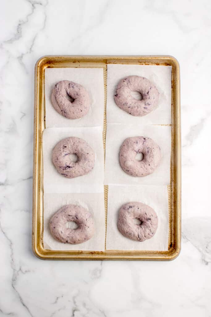 proofed bagels ready to be boiled and baked