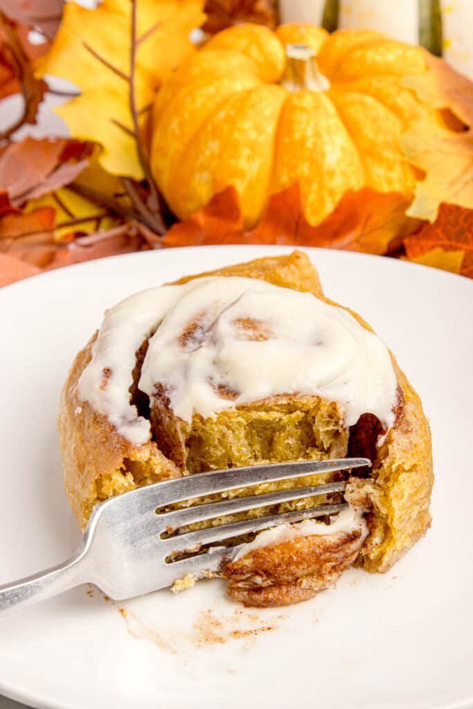 fork cutting into sourdough pumpkin cinnamon roll on white plate with pumpkin in background