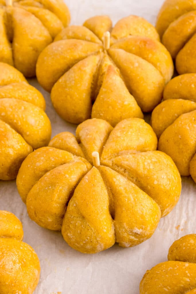 sourdough pumpkin dinner rolls positioned together
