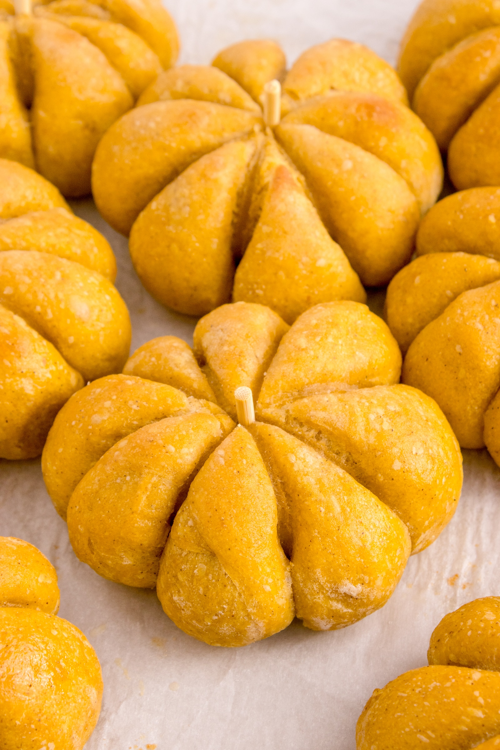 sourdough pumpkin dinner rolls positioned together