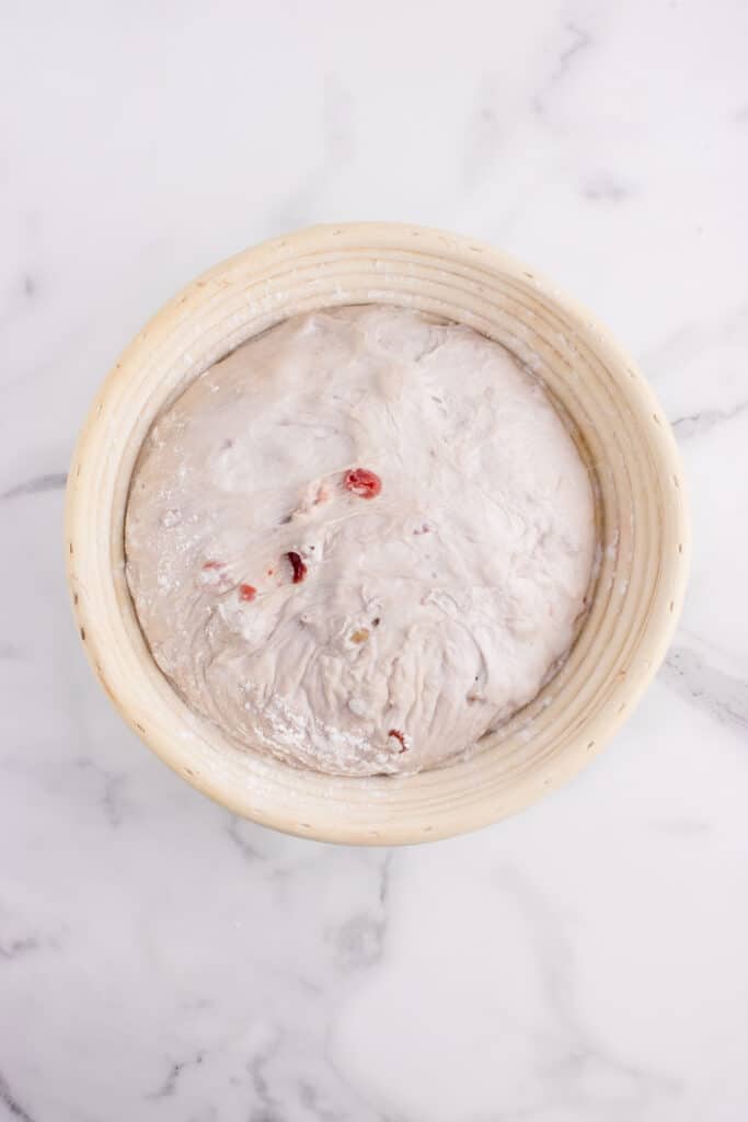 sourdough cranberry dough in round banneton after fermentation