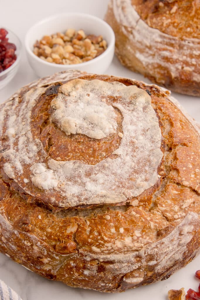 sourdough cranberry walnut loaf showing swirl scoring pattern on top with walnuts and cranberries behind